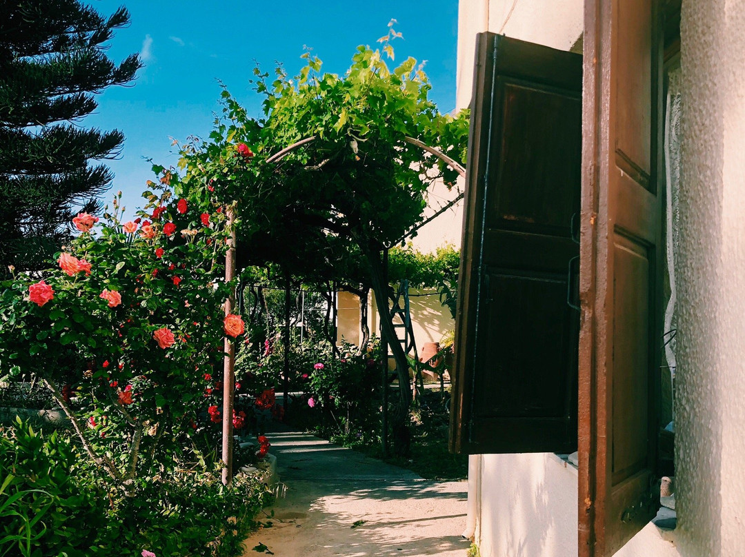 Villas Dimitra