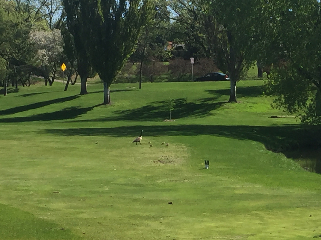 Como Golf Course-圣保罗必去景点