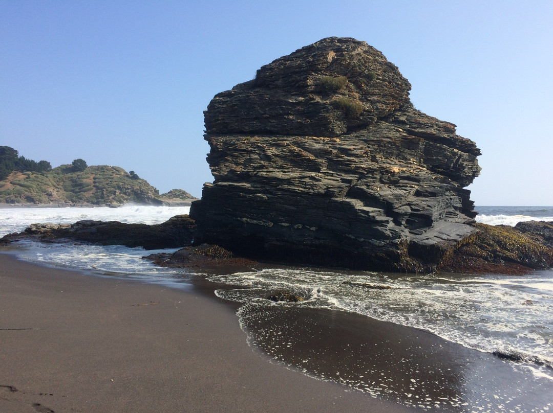 Parque Pedro del Rio Zanartu景点图片