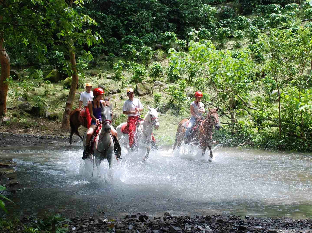Adventure Park & Hotel Vista Golfo景点图片