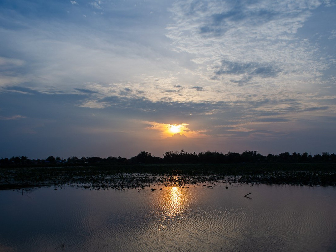 Bualinn Resort Nong Khai主图