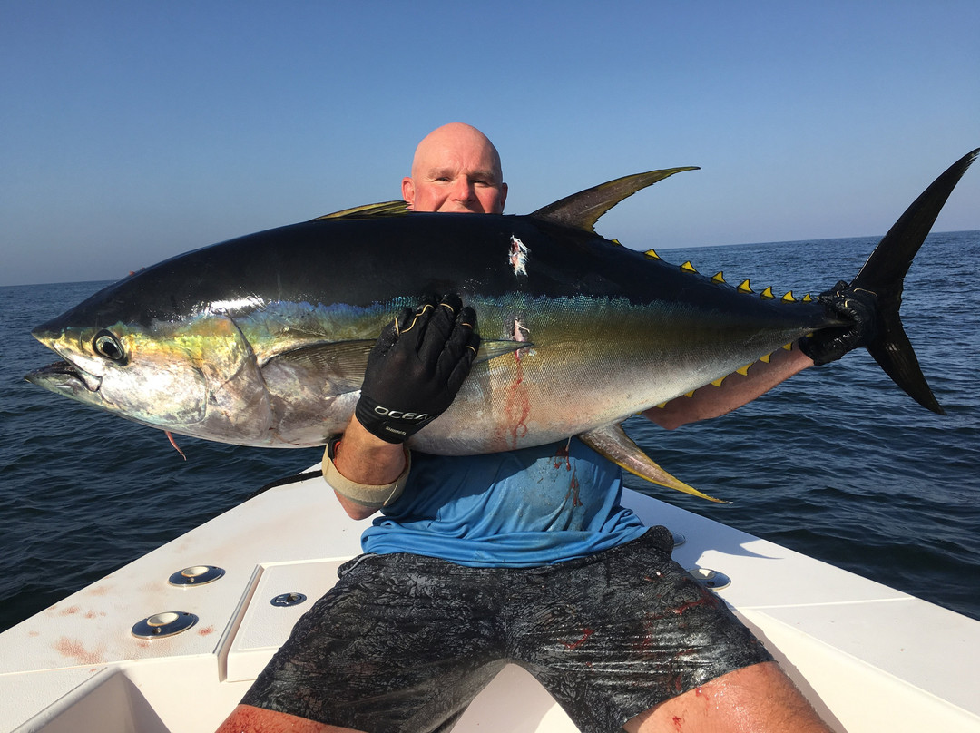 Offshore Adventures - Day Fishing Charters景点图片