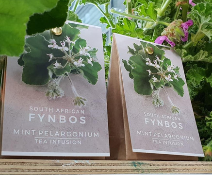 Cape Town Fynbos Experience-开普敦中心区必去景点