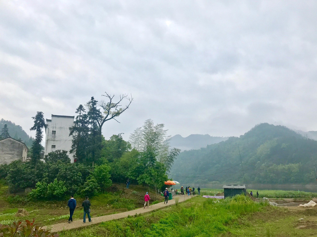 新安江山水画廊景点图片