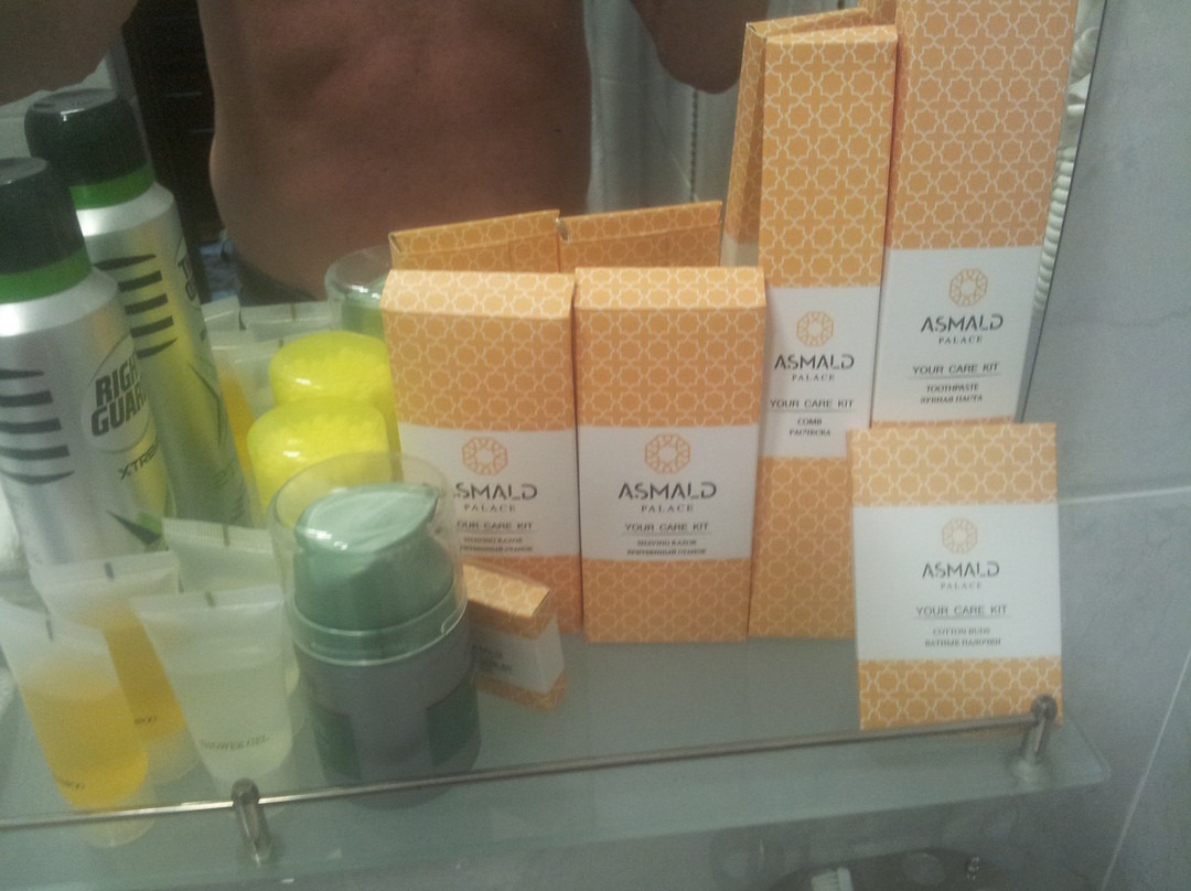 Asmald Palace主图