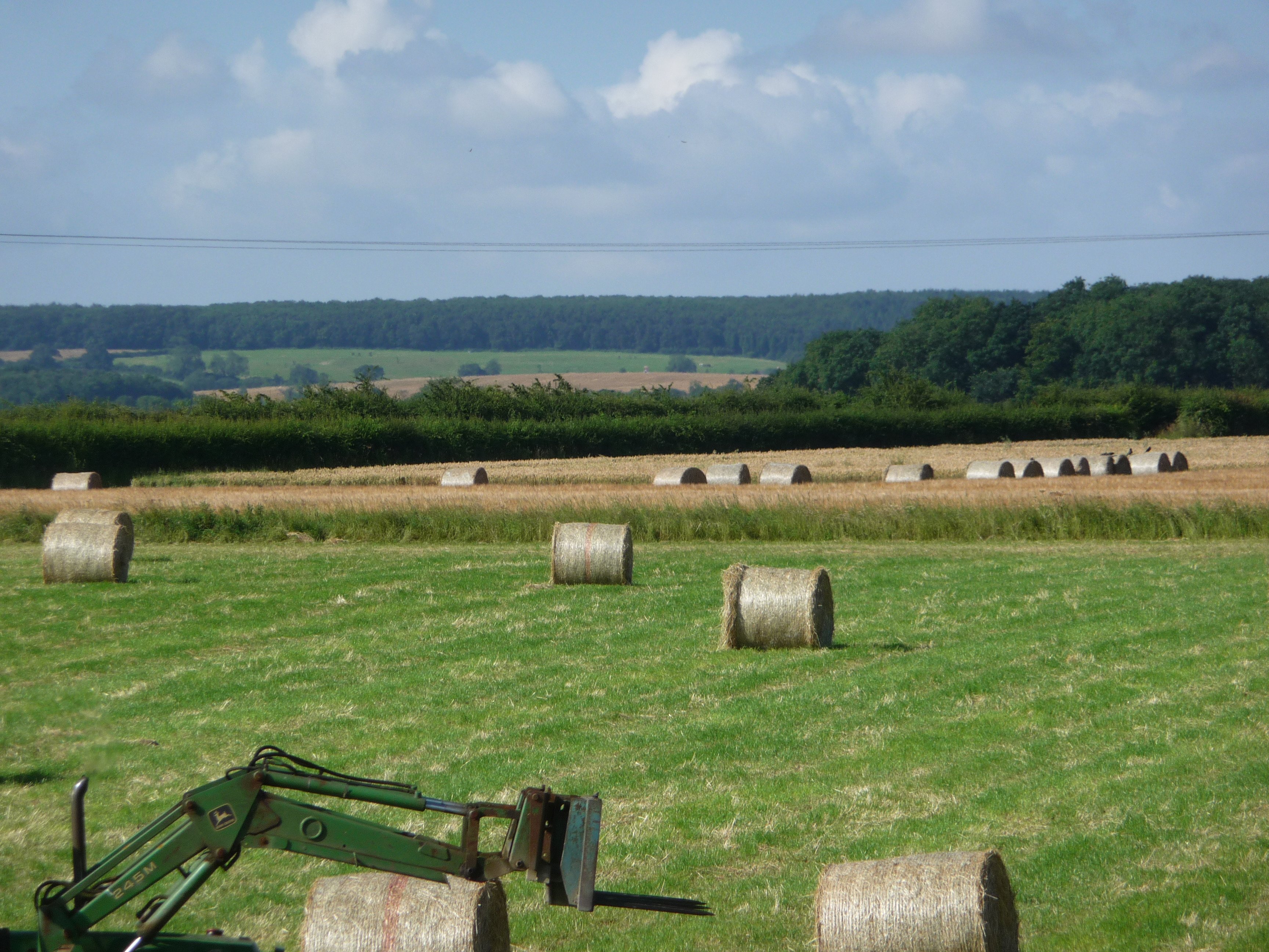 Green Haven Bed and Breakfast-官方