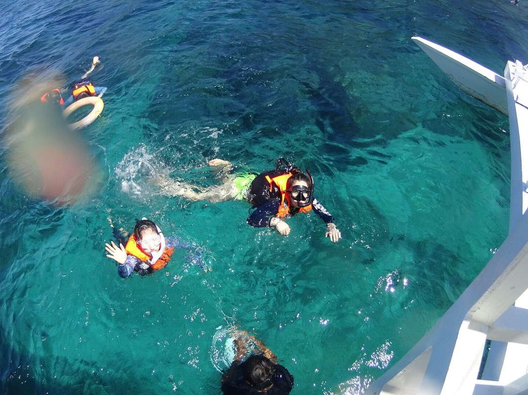 阿波岛潜水景点图片