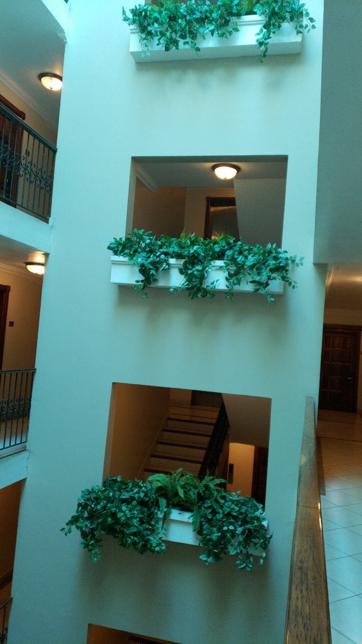 Hotel Andros-官方