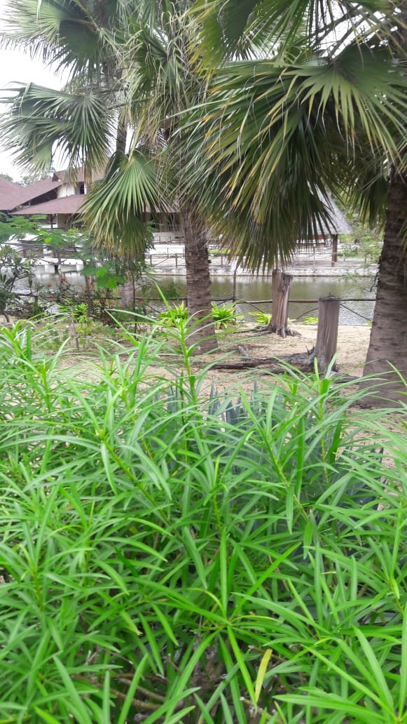 Karibuni Villas-portrait