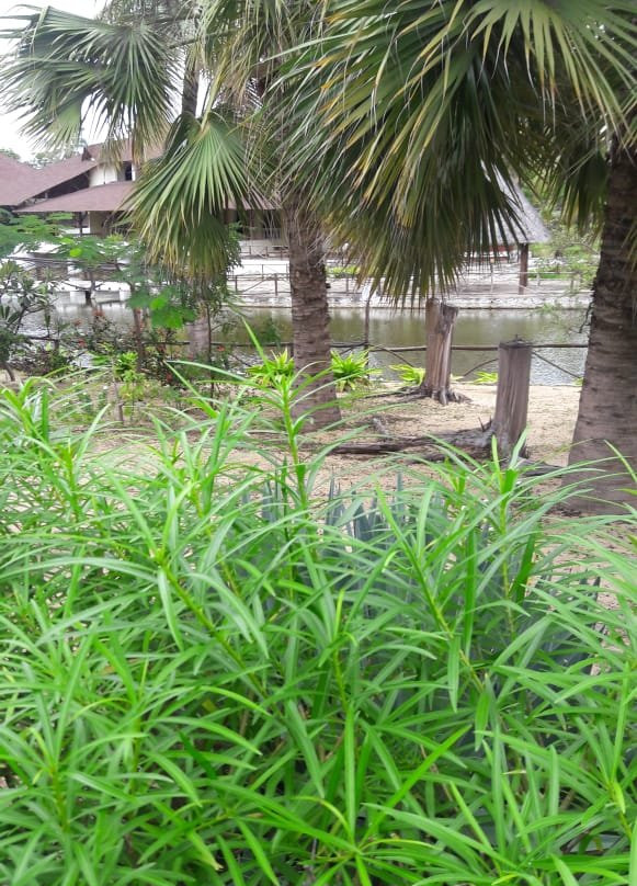 Karibuni Villas主图