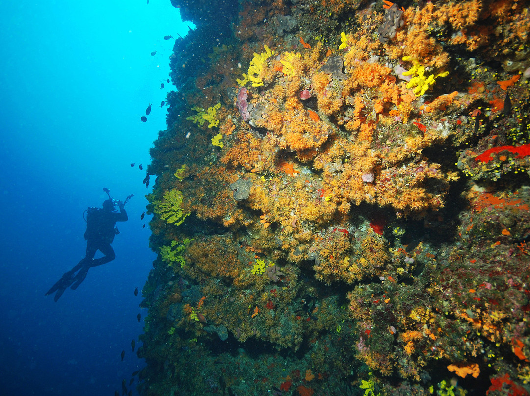 Squatina Diving-Baska必去景点