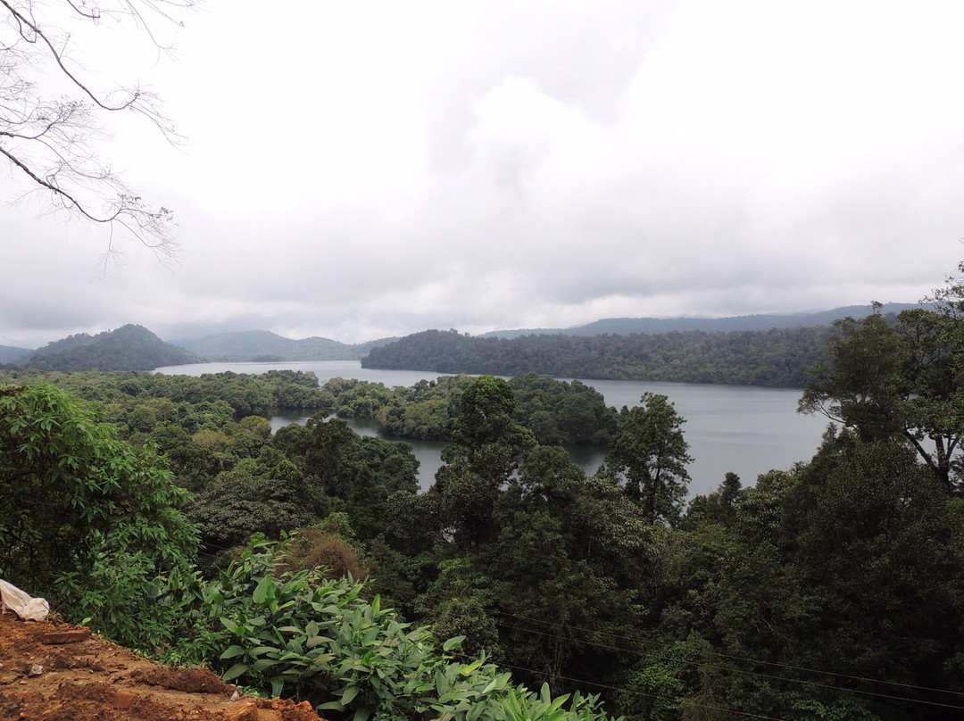 Indira Gandhi Wildlife Sanctuary and National Park景点图片