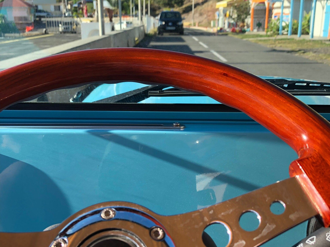 Iguana Locations-Terre-de-Bas必去景点