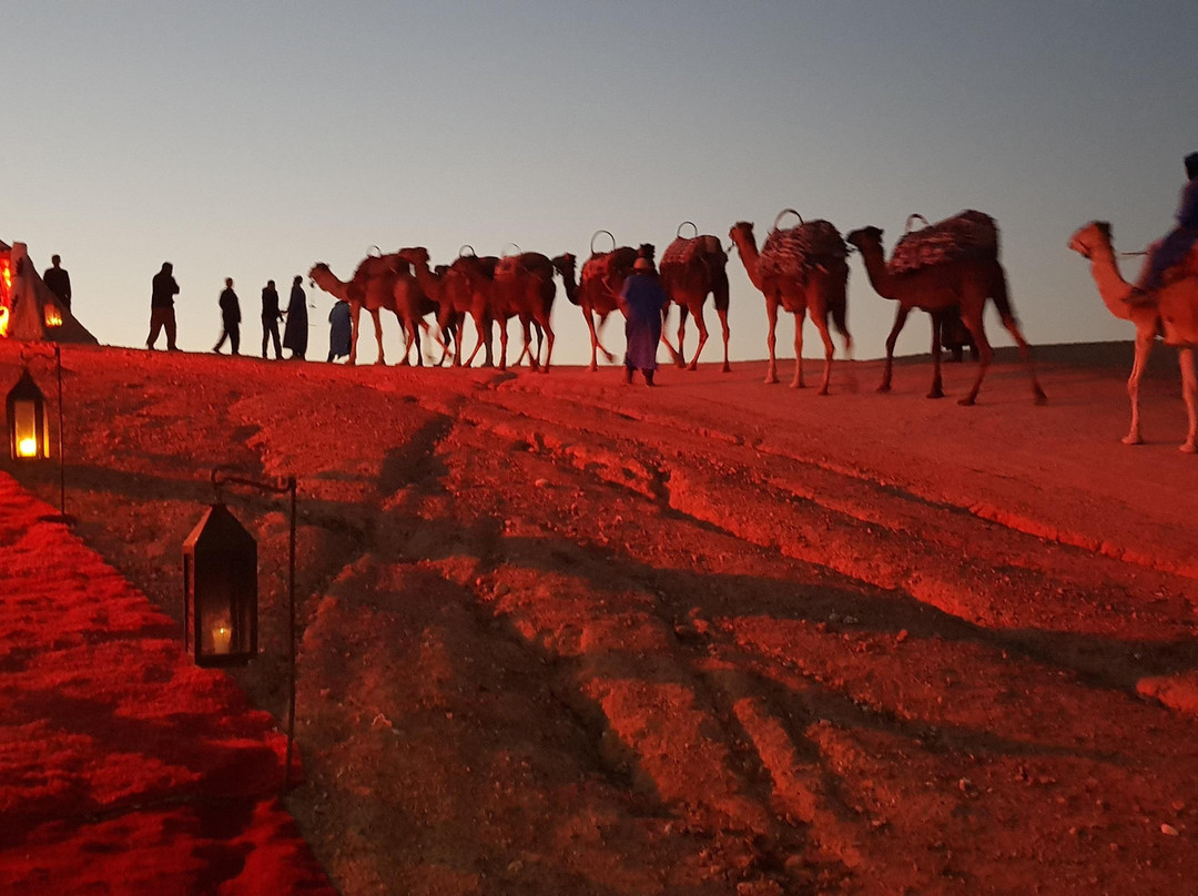 Agafay Desert Camel Ride景点图片
