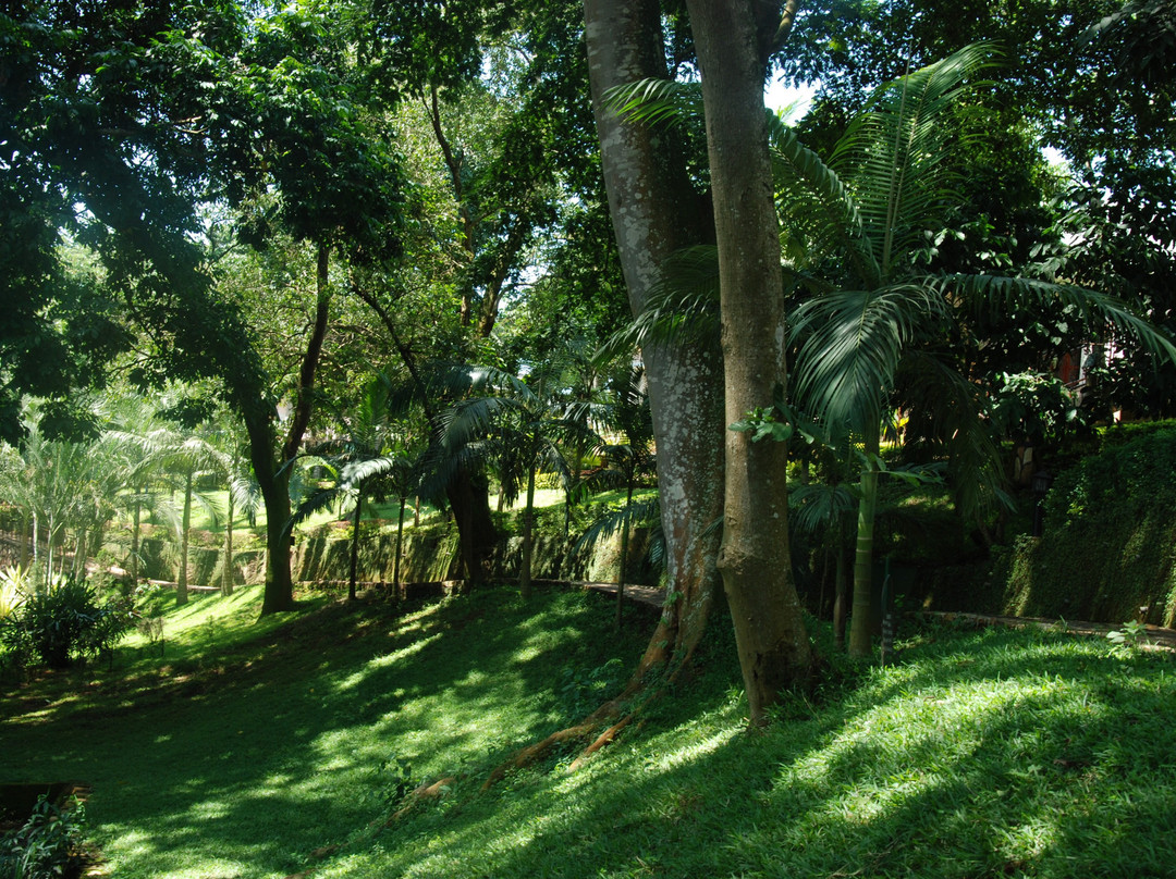 Miika Eco Resort Hotel主图