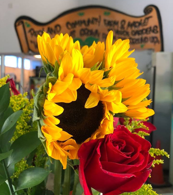 Redland Community Farm and Market-霍姆斯特德必去景点