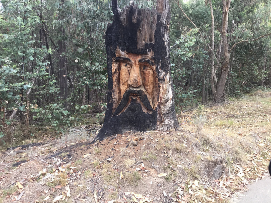 Mount Stanley Look Out-Stanley必去景点