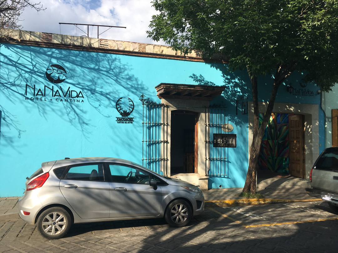 NaNa Vida Hotel Boutique Oaxaca主图