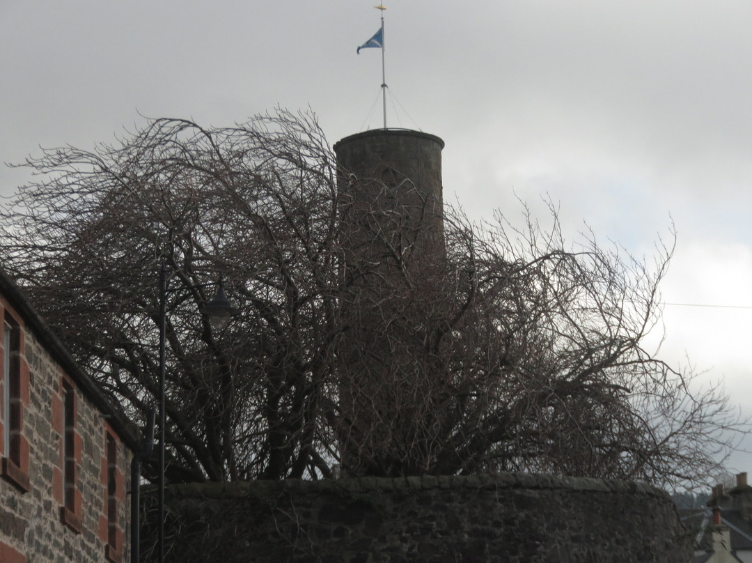 Abernethy Round Tower景点图片