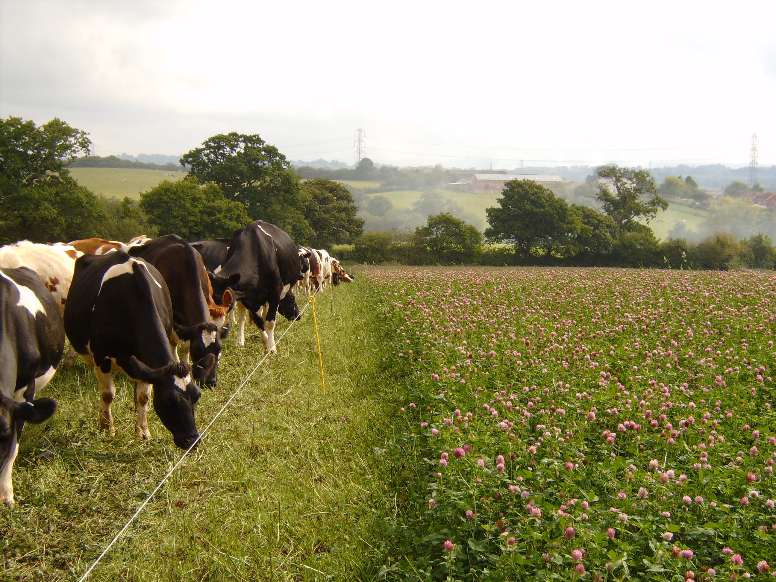 Upton Farm Bed & Breakfast-官方