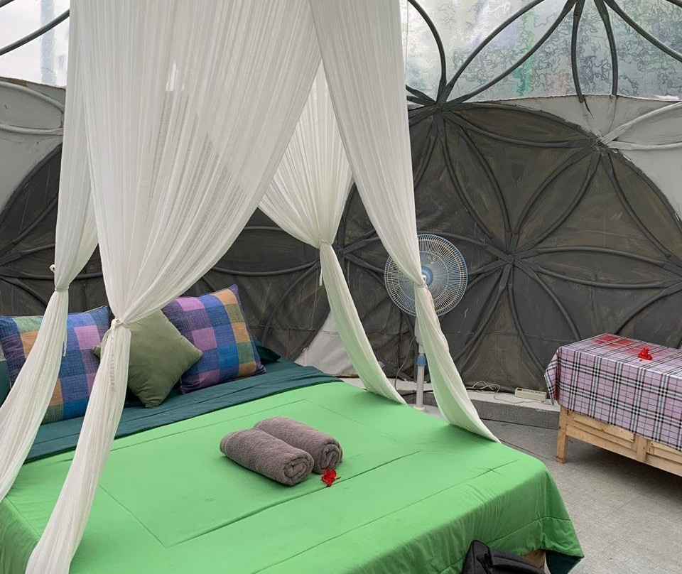 Seed Of Life Moodra主图