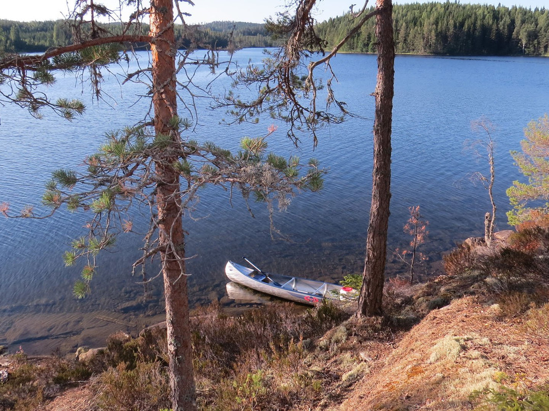 Svanskog旅游攻略图片