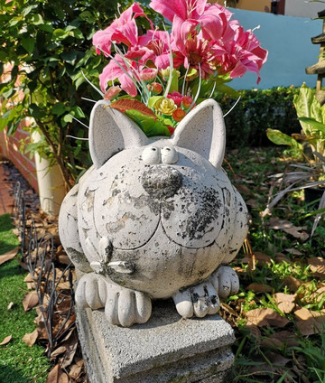 Soodsoi Resort主图