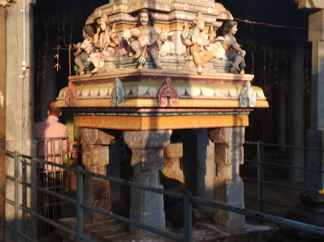 Sri Nageswarar temple景点图片
