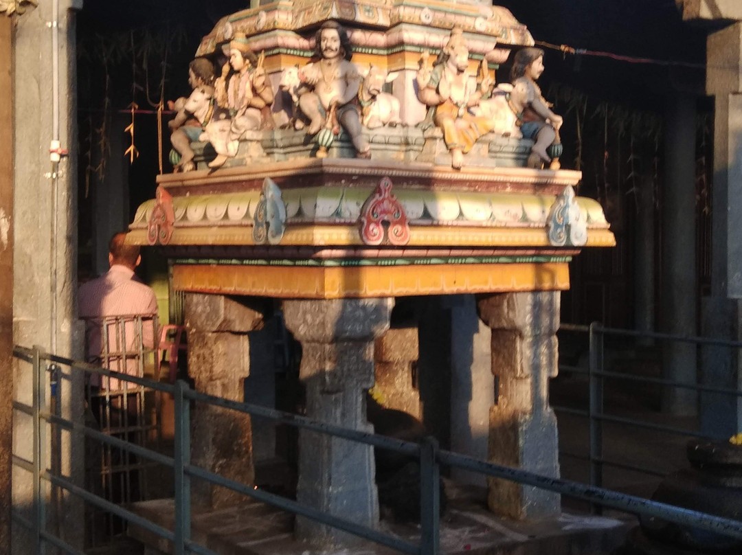 Sri Nageswarar temple-金奈（马德拉斯）必去景点