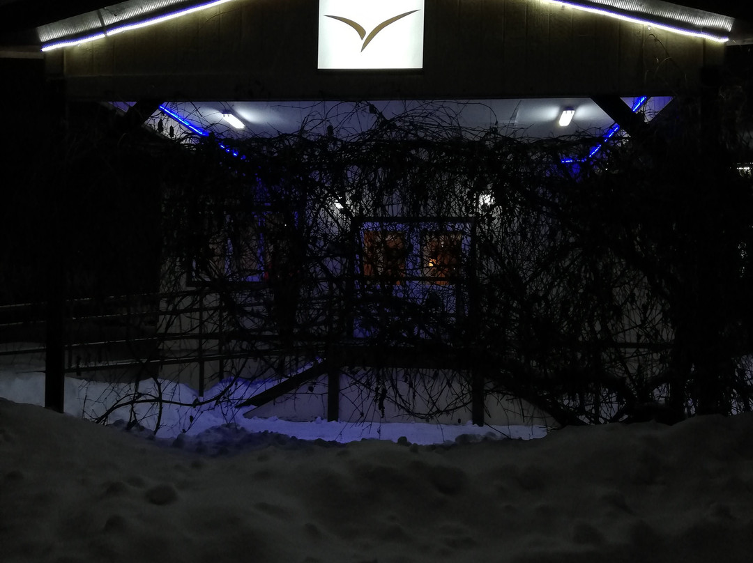 Chagala Hotel Uralsk主图