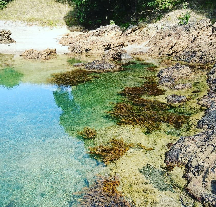 Island Getaway Tours-派希亚必去景点