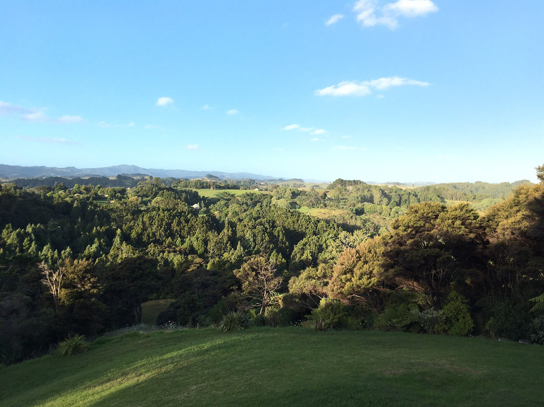 Nancy's Garden主图