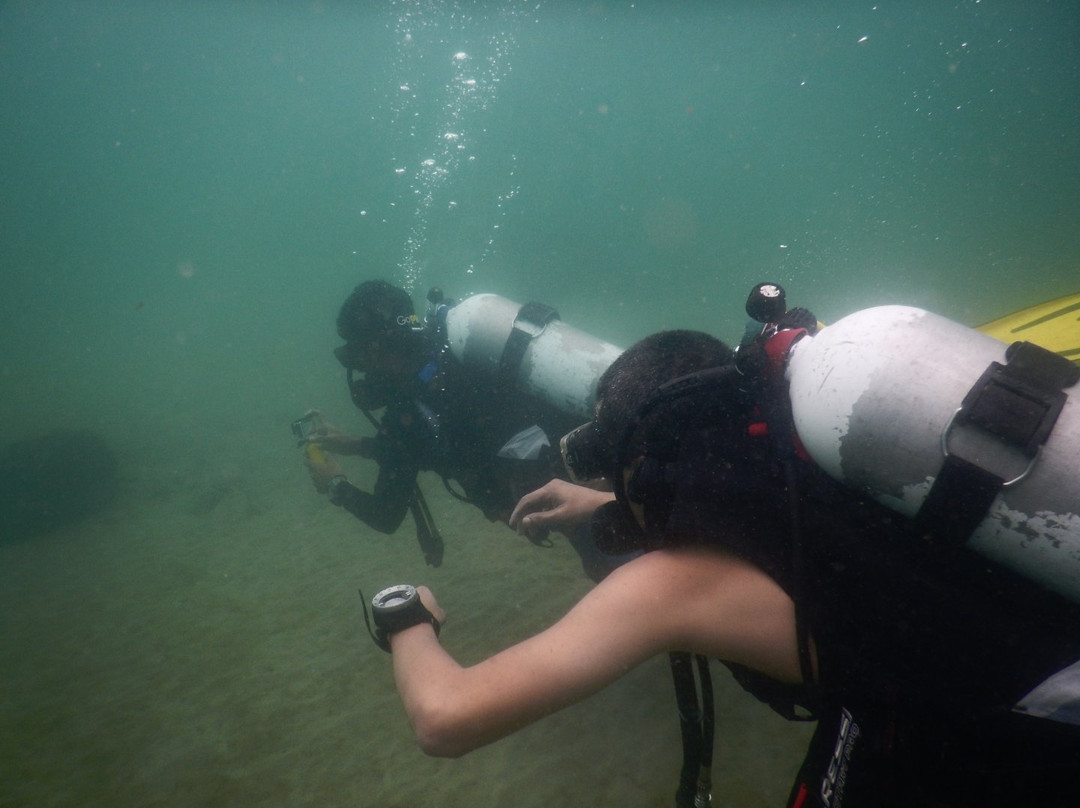 Goa diving景点图片