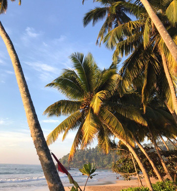 天堂海滩俱乐部酒店主图