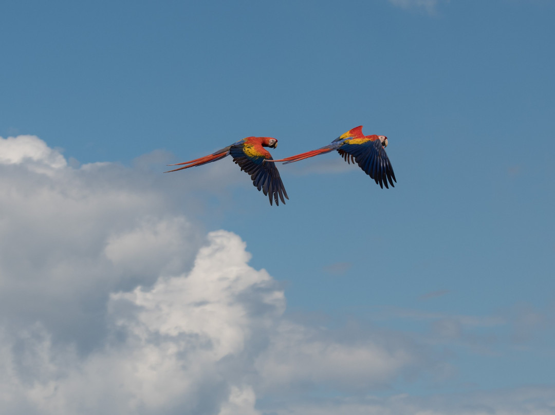 Cabinas Jimenez主图