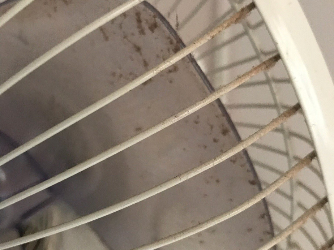 金河简易别墅主图