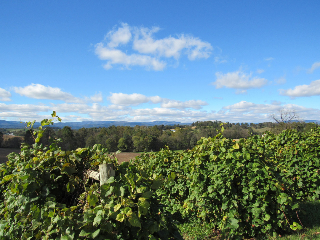 Bluestone Vineyard-Bridgewater必去景点