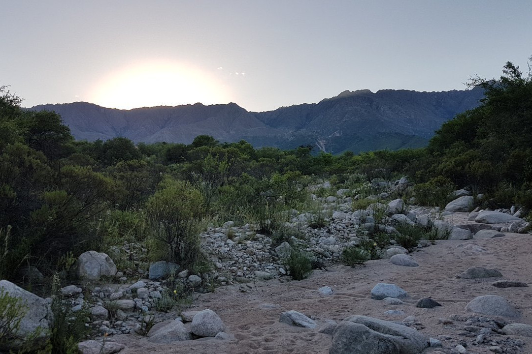 Senderos del Tao主图