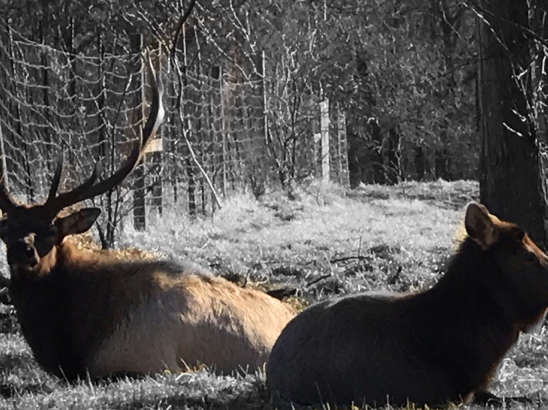 Fleming Park-Independence必去景点