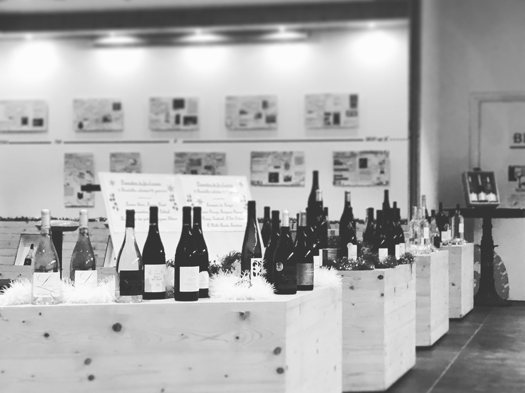 Cave Cooperative Les Vins de Saint Saturnin景点图片