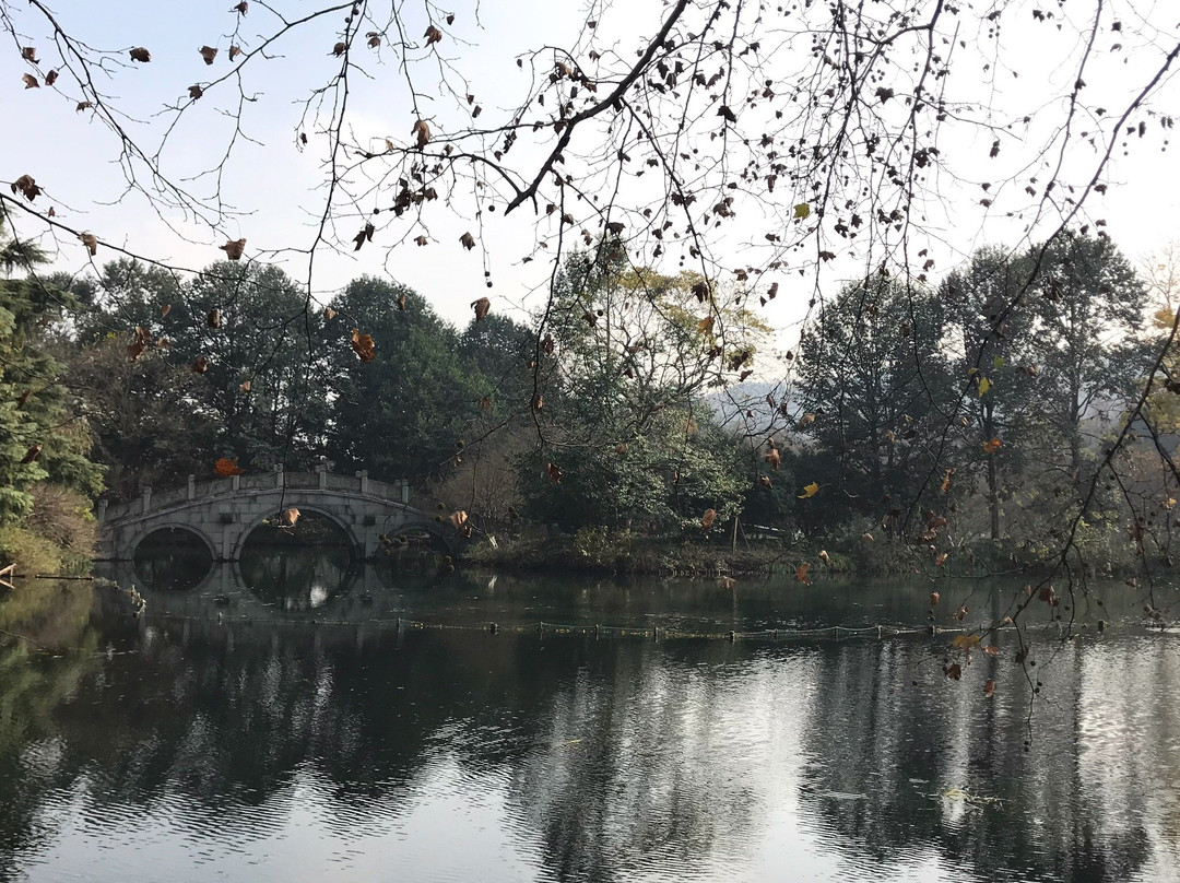 杨公堤-杭州市必去景点