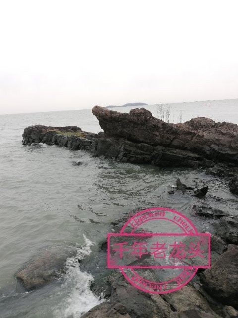 龙头渚公园-无锡市必去景点