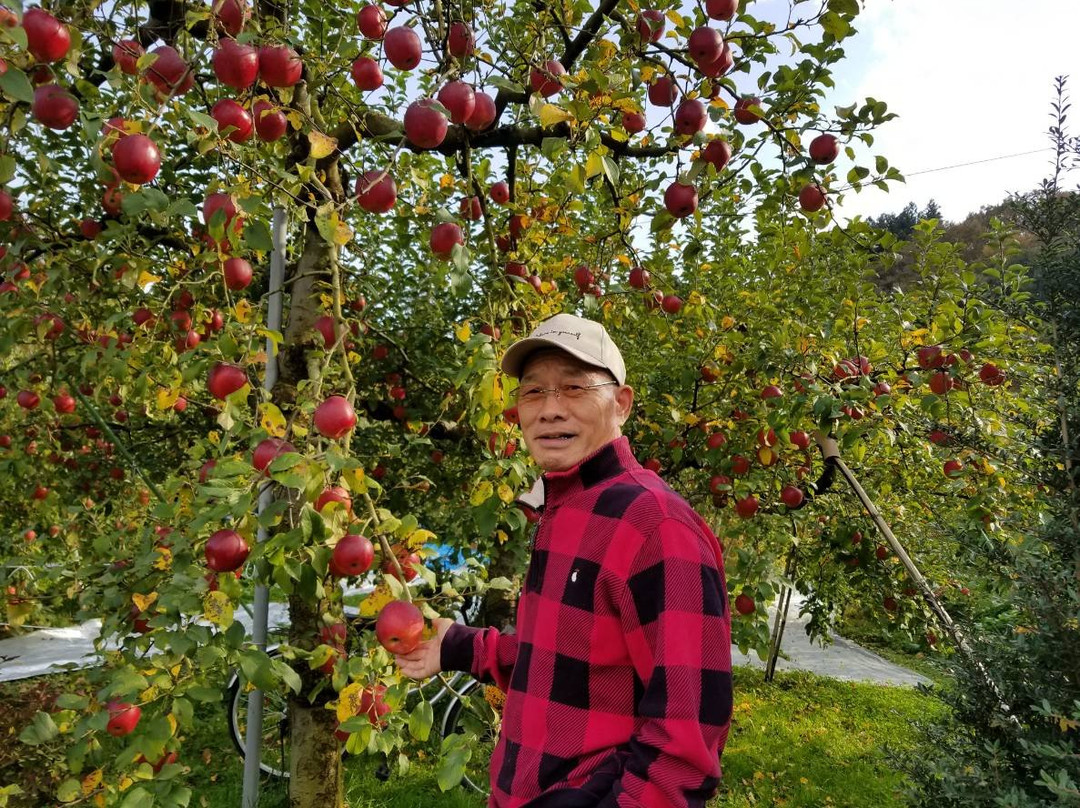 Fujita Kanko Apple Farm景点图片