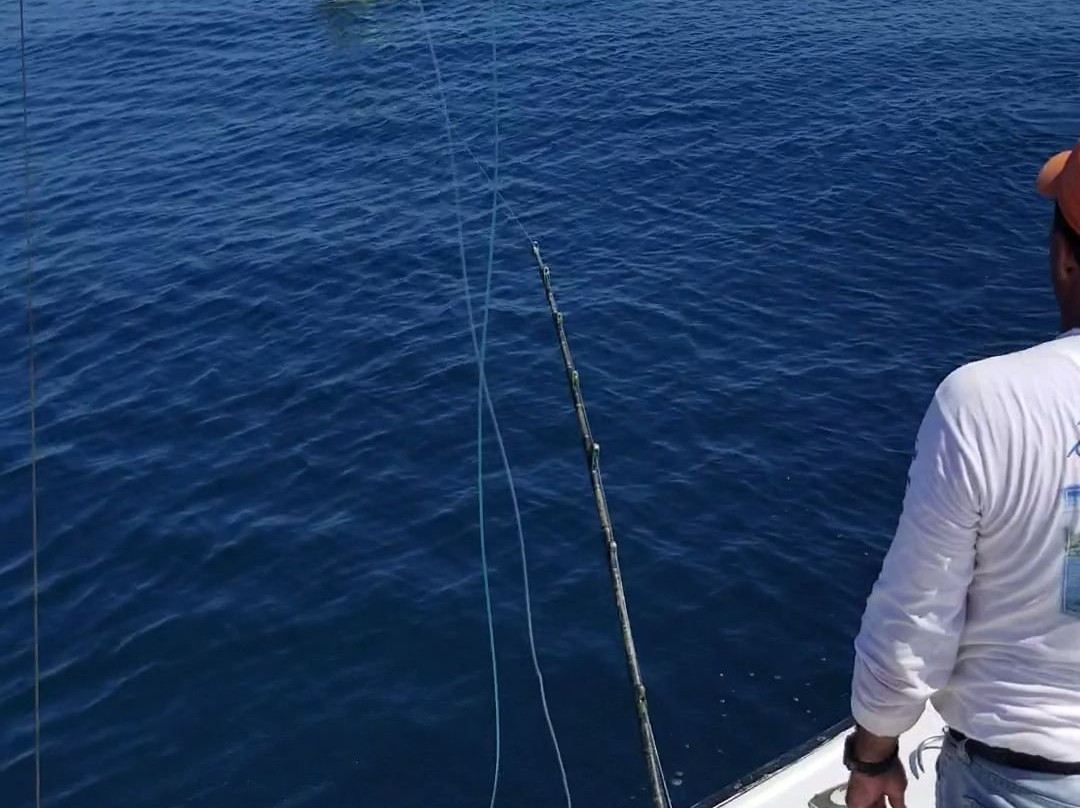 Star Fleet Sportfishing-马萨特兰必去景点