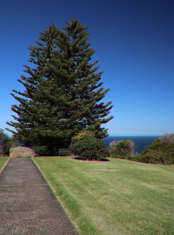 Moronga Park-卧龙岗市必去景点