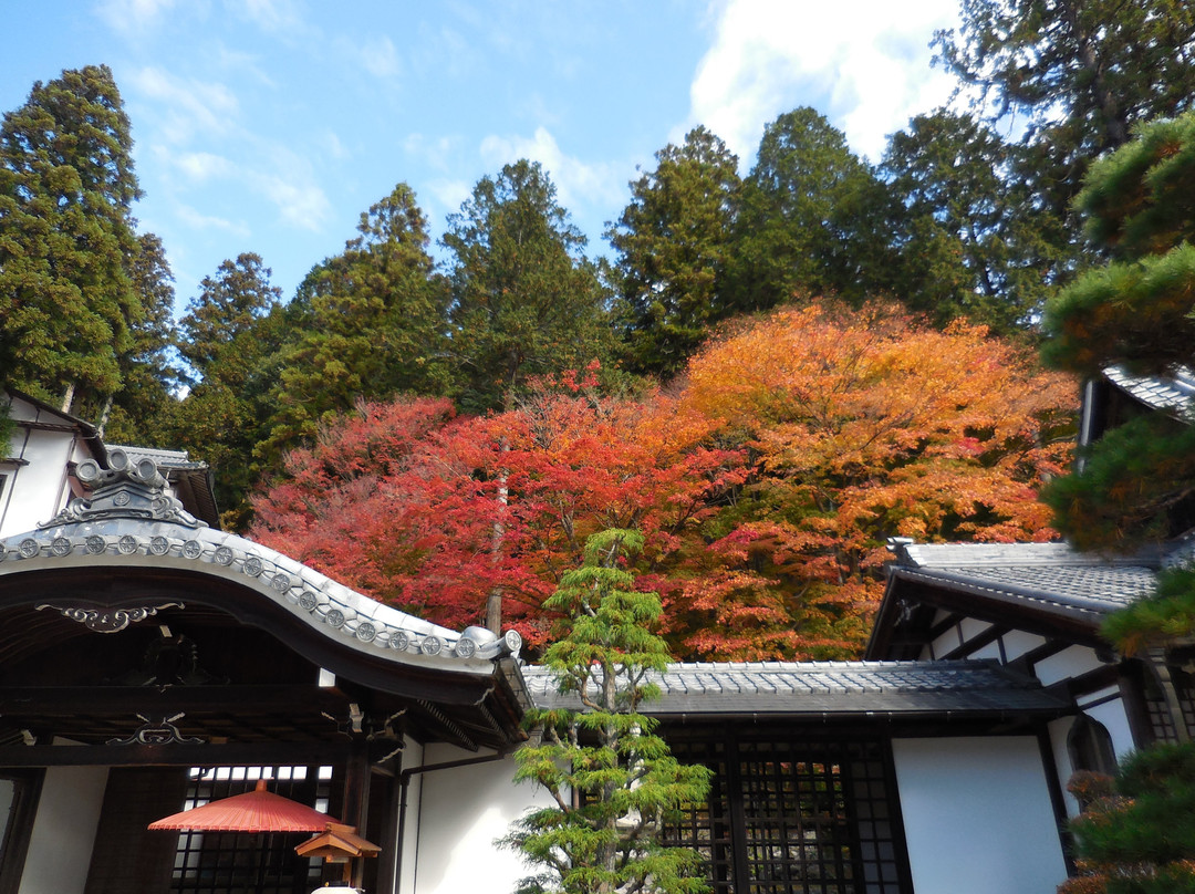 Onsenji Temple景点图片