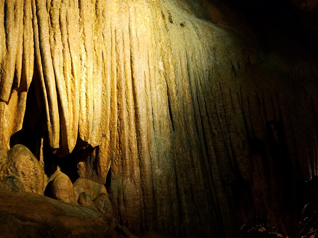 Caverns At Natural Bridge景点图片