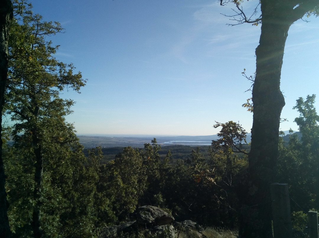 Parque Regional Cuenca Alta Del Manzanares景点图片