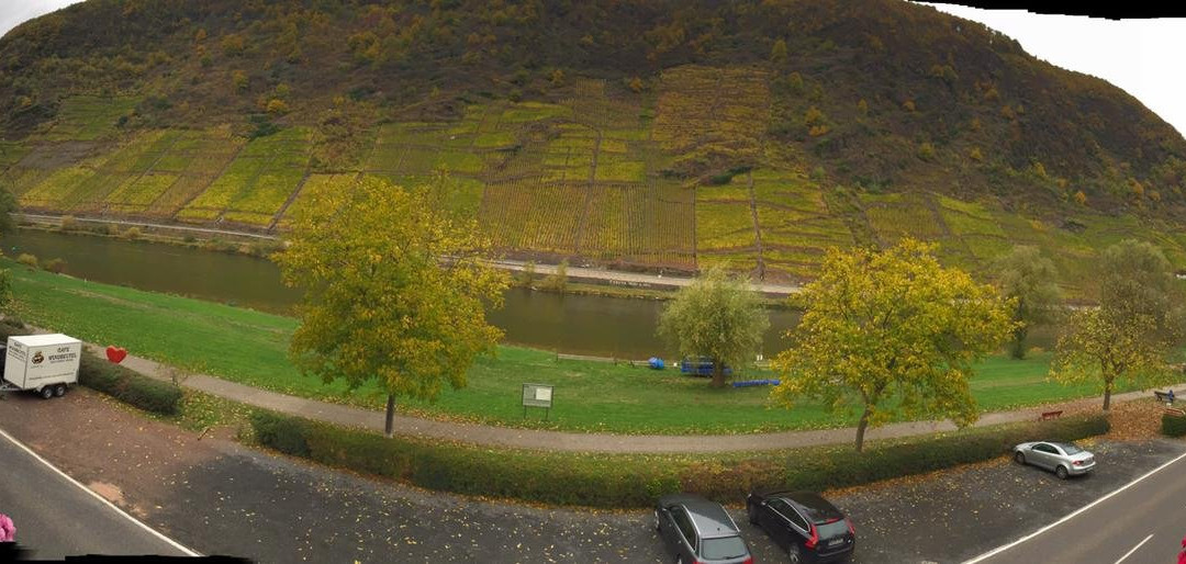 Ferienweingut Zenz主图