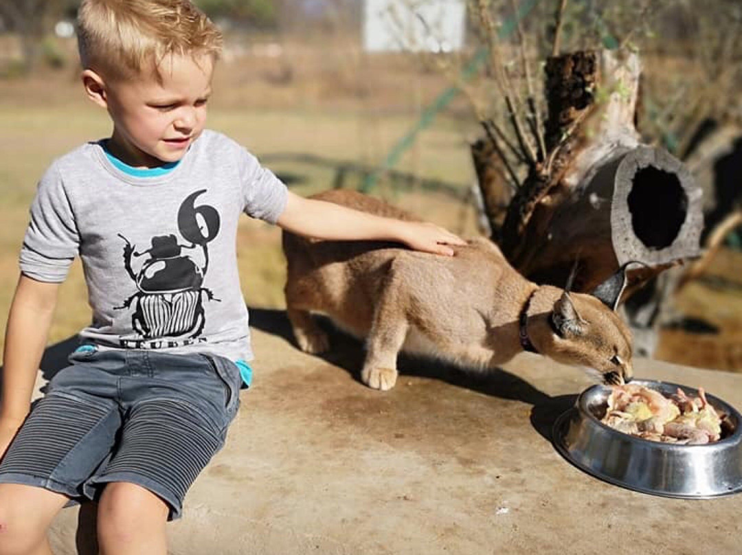 Jugomaro Predator Park 2.0-瓦尔沃特必去景点